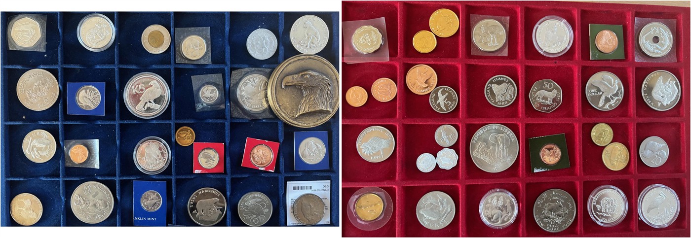 $Abbildung zu Los 586$